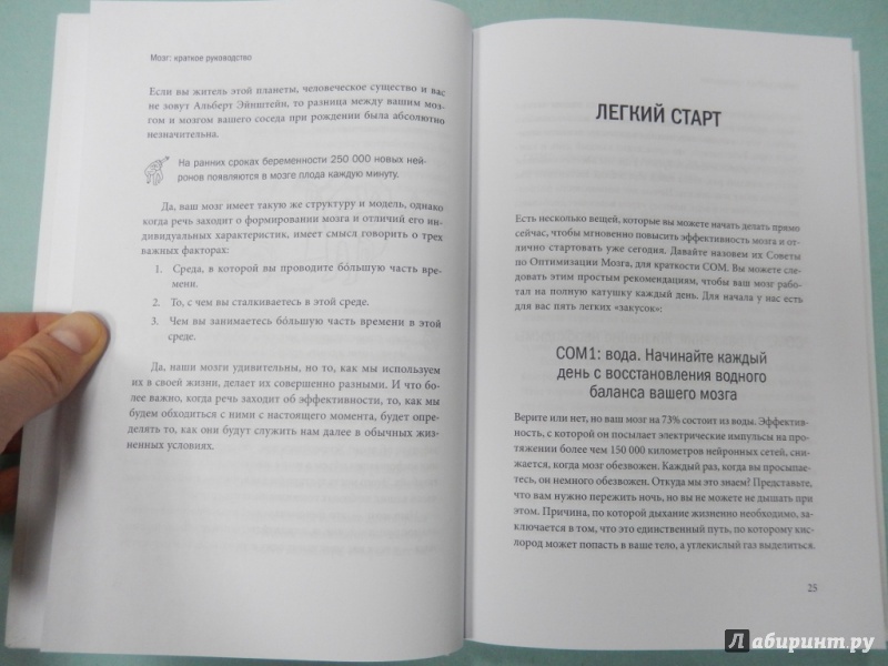 Мозг краткое руководство все что вам нужно знать для повышения продуктивности и снижения стресса