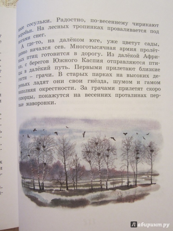 И соколов микитов март в лесу лирическая зарисовка 3 класс перспектива презентация