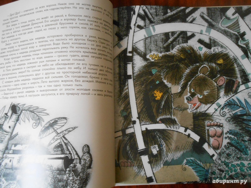 Рассказ паустовского медведь. Дремучий медведь Паустовский. Паустовский дремучий медведь обложка книги. Паустовский дремучий медведь иллюстрации.