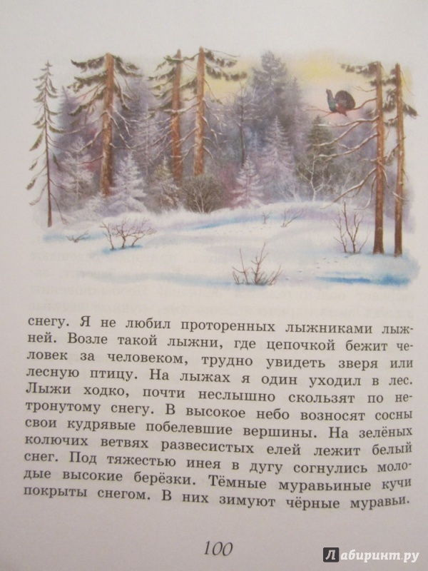 Март в лесу соколов микитов 3 класс презентация