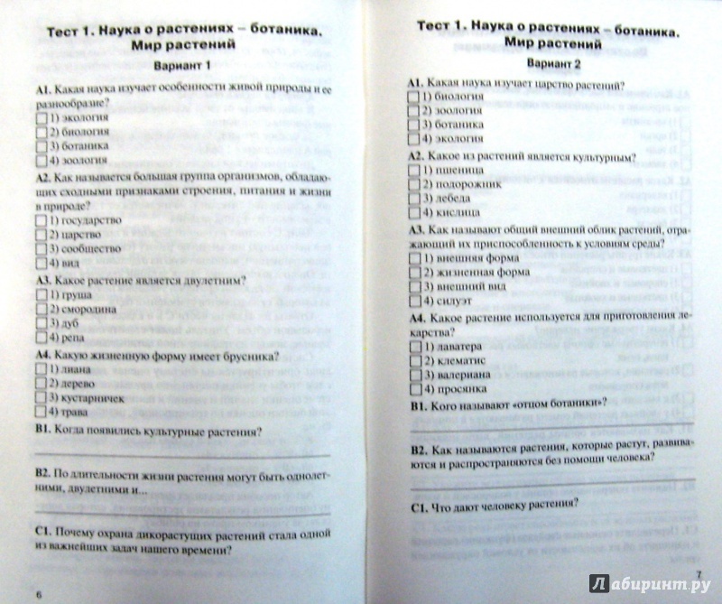 лабиринт по биологии 6 класс