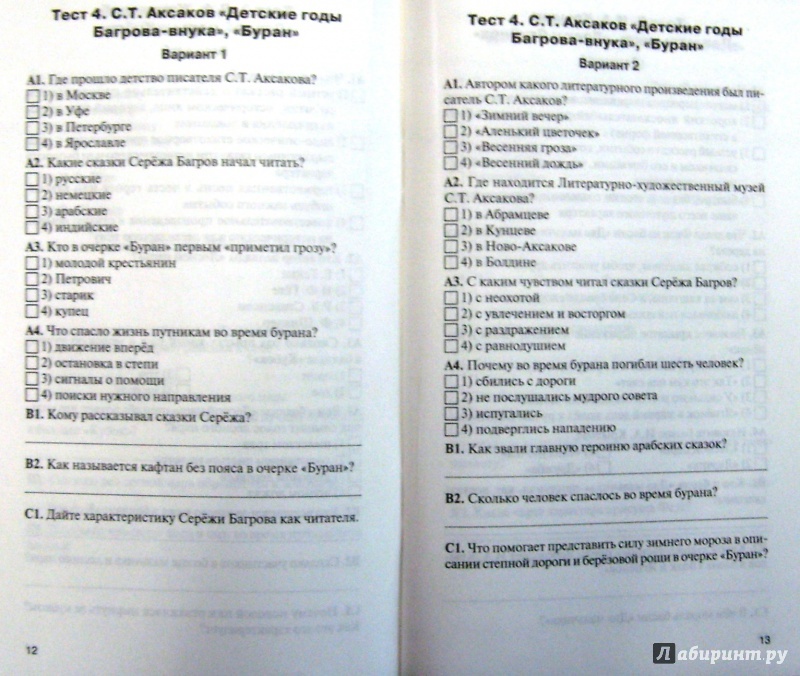 ким по литературе 9 класс