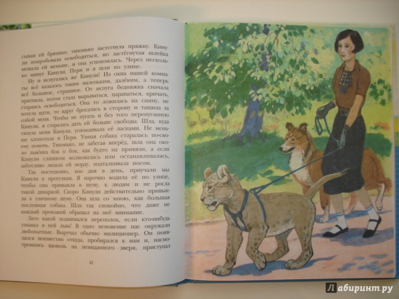 Вера чаплина книги картинки