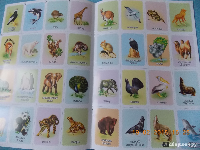 Лекарственное животное список. Мой первый атлас животных книга. Атлас атлас атлас с животными. Книжка атлас самоделка Дикие животные.