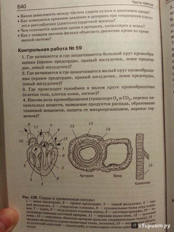 Богданова