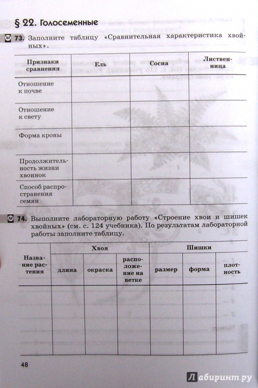 Лабораторная работа грибы бактерии. Строение хвои и шишек хвойных лабораторная работа таблица. Таблица хвоя и шишки заполненная. Запрлните таблица сравнительная характеристика хвойных. Заполните таблицу сравнительная характеристика хвойных.