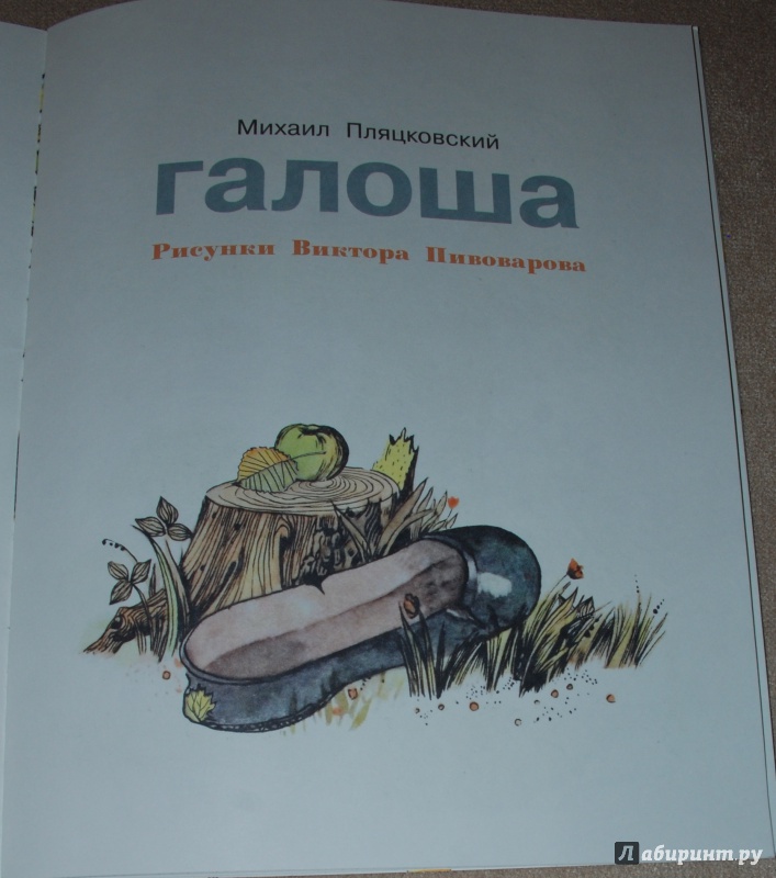 Книга галоша. Зощенко галоша.