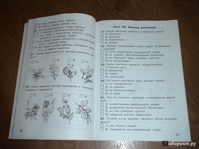 Окр Мир Кимы 2 Класс