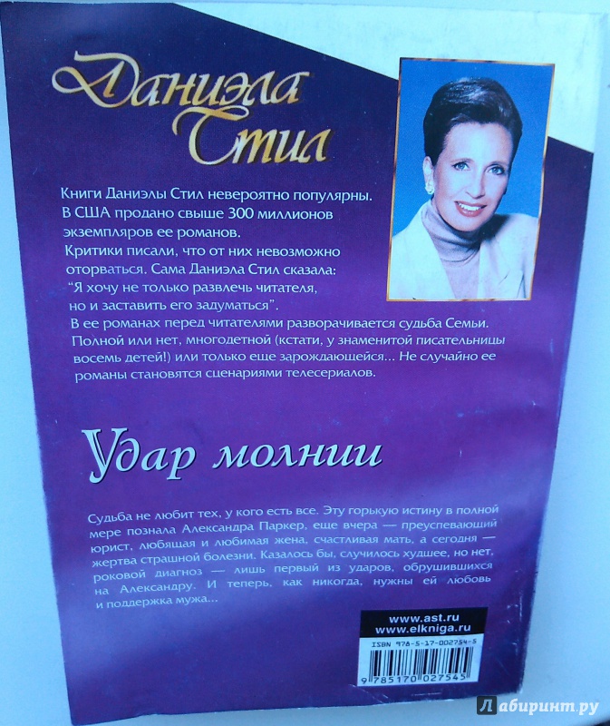 литмир книги даниэлы стил