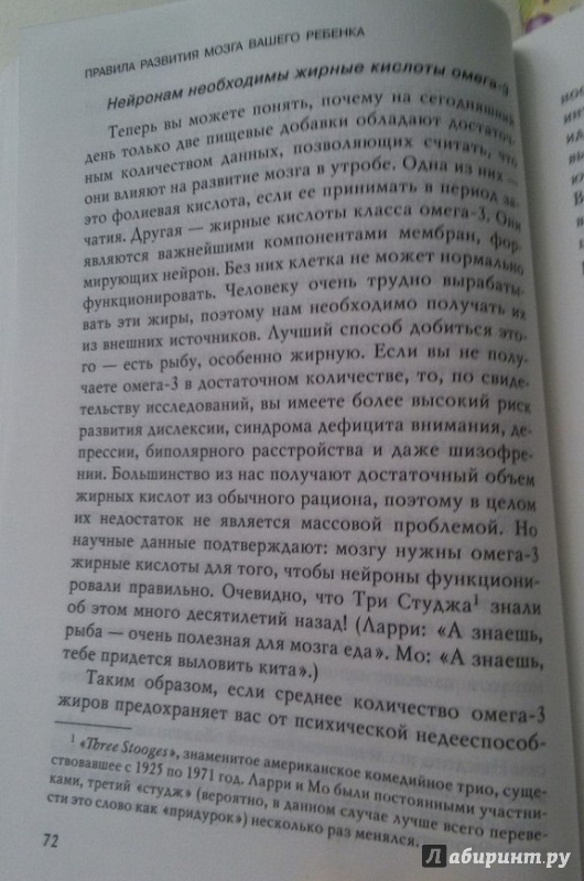 Правила развития мозга вашего ребенка отзывы