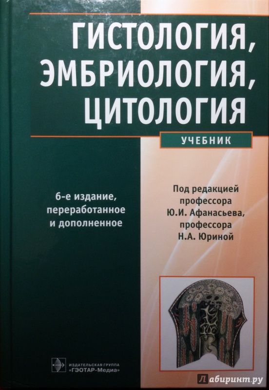 Почему результаты гистологии не говорят по телефону