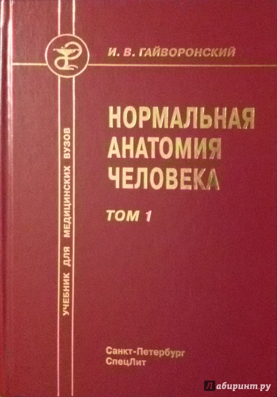 учебник по анатомии гайворонского