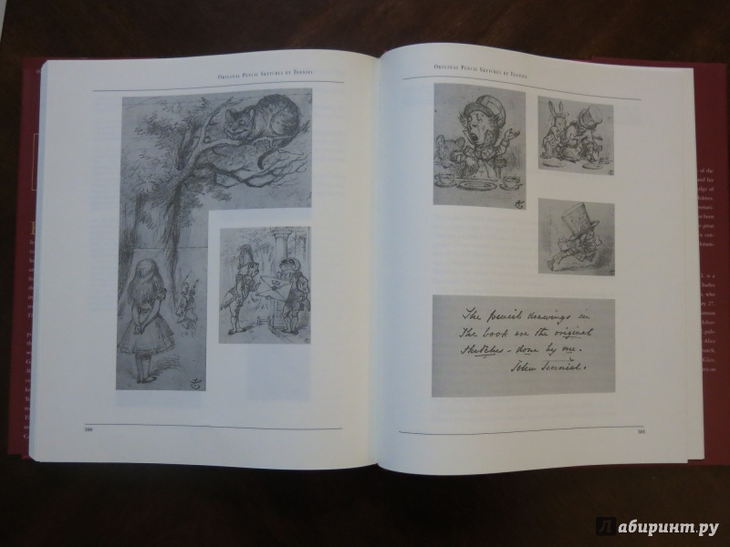 Иллюстрация 43 из 44 для Алиса в стране чудес. Алиса в Зазеркалье — Льюис Кэрролл | Лабиринт — книги. Источник: anschaffen