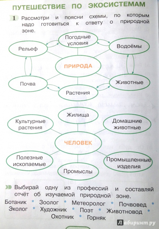 Закончите схему окружающий мир