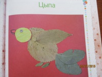 Изображение отзыва