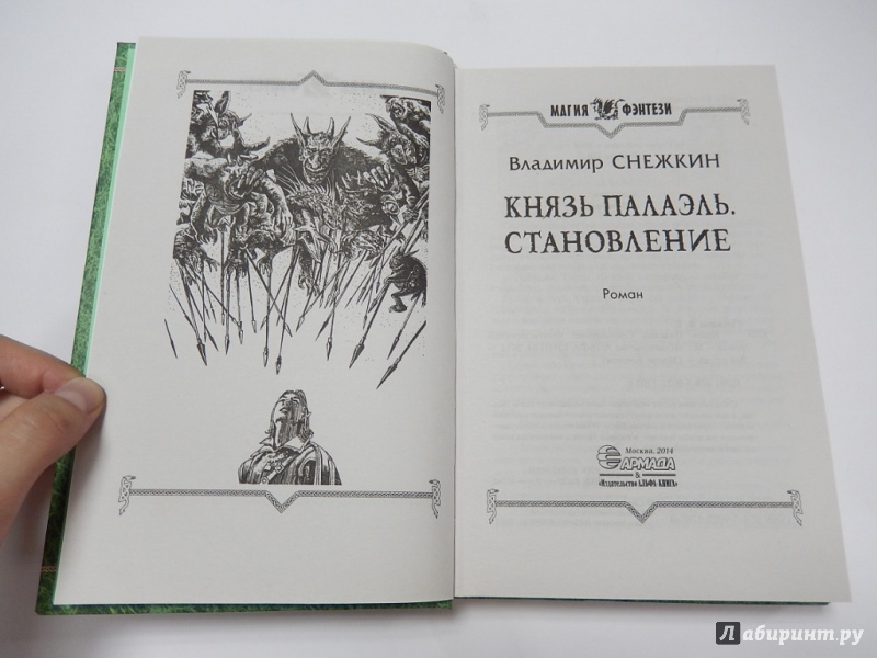 Испытание чародея. Владимир Снежкин князь Палаэль. Палаэль становление князь. Князь Палаэль книга. Князь Палаэль 2.