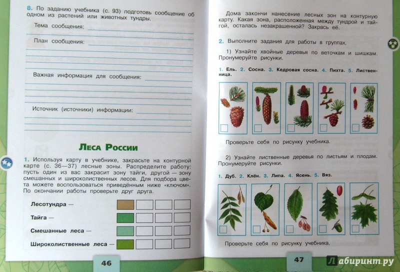 "Окружающий мир 4 класс Рабочая тетрадь В 2-х частях ФГОС" Плешаков ...