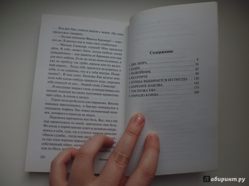 thesis paper on herman hesse demian thesis paper on herman hesse demian
