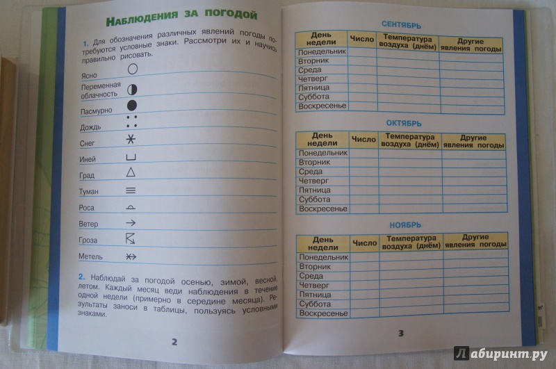 Научный дневник 2. Дневник наблюдений 2 класс окружающий мир Плешаков. Дневник наблюдений 2 класс.