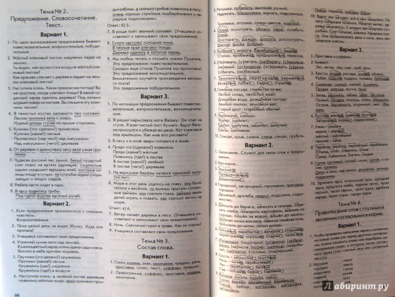 Зачетная тетрадь по русскому языку 11 класс уровень стандарта
