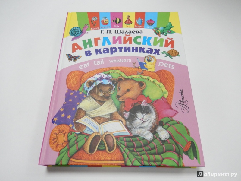 Английский в картинках книга