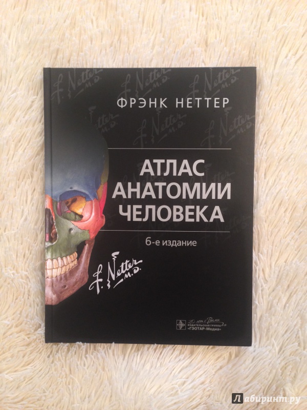 Фрэнк неттер атлас анатомии. Фрэнк Неттер атлас анатомии человека 6 издание. Атлас Фрэнка Неттера 7 издание. Атлас анатомии Фрэнка Неттера. Атлас_анатомии_человека,Фрэнк_Неттер,_2018_г_.