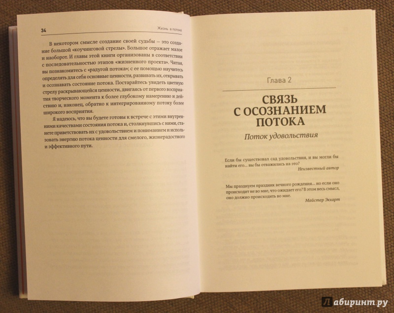 Читать аткинсон сила. Мэрилин Аткинсон жизнь в потоке. Жизнь в потоке книга. Мэрилин Аткинсон книги. Аткинсон Введение в мотивацию книга.