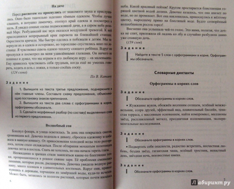 Изложение по русскому языку 6 класс