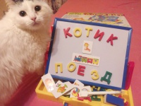 Изображение отзыва