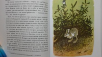 Картинки берестяная книга