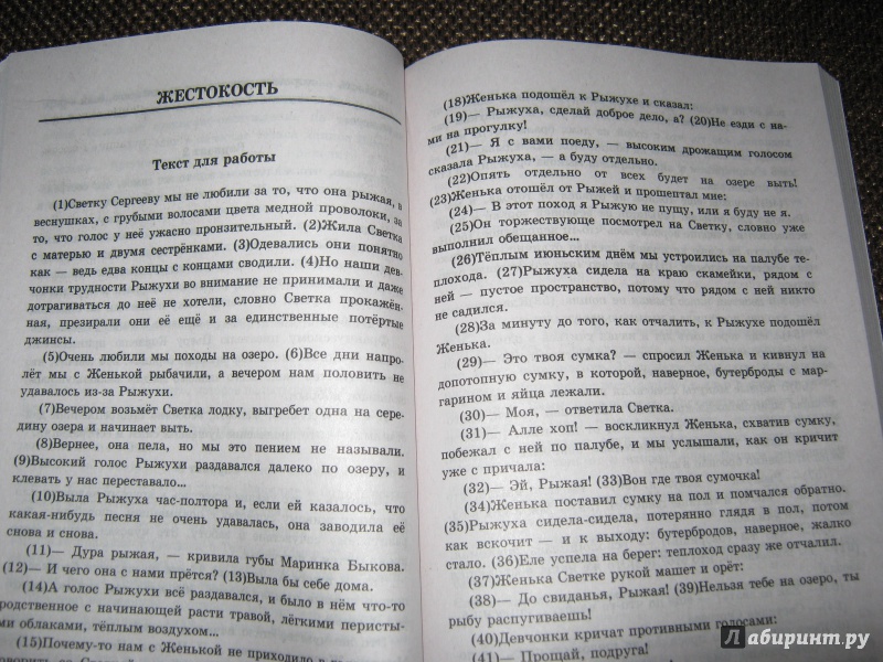 Сочинение никто. Текст про рыжуху светку. Изложение жестокость. Сочинение про рыжуху светку. Рассказ про рыжуху ОГЭ.