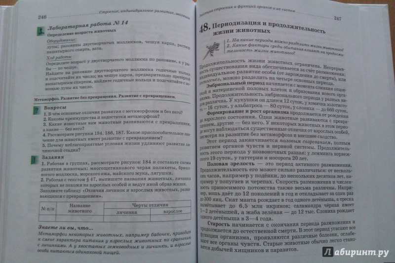 Гдз По Биологии 7 Класс Лабораторные Работы Латюшин Учебник Ответы На Вопросы биологии класс учебник латюшин на гдз ответы лабораторные вопросы 7 работы по