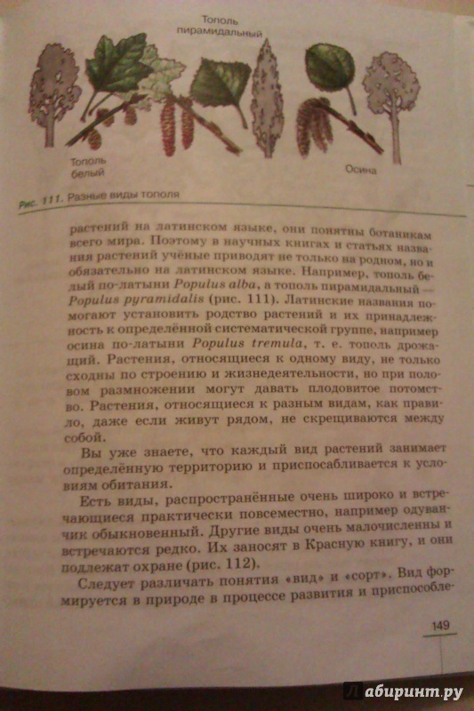 Гдз По Биологии 6 Класс В.в.пасечник Многообразие Покрытосеменных Растений Гдз по биологии 6 класс в.в.пасечник многообразие покрытосеменных растений
