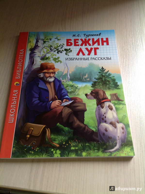 Бежин луг читать 6. Тургенев Бежин луг книга. Бежин луг обложка книги. Тургенев Бежин луг обложка книги.