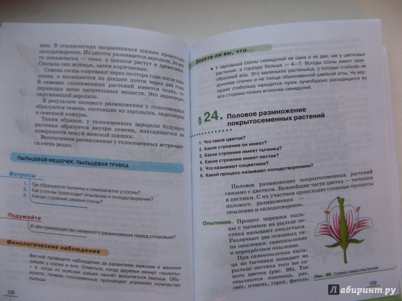 Гдз По Биологии 6 Класс В.в.пасечник Многообразие Покрытосеменных Растений Гдз по биологии 6 класс в.в.пасечник многообразие покрытосеменных растений