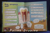 Книга: "Детям про зубки. Невероятное путешествие по Зубландии". Купить ...