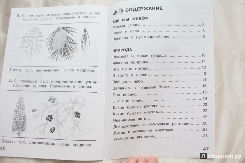 Книга "Окружающий мир. 2 класс. Тетрадь для тренировки и