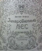 Зачарованный лес книга для творчества и вдохновения раскрашенные картинки