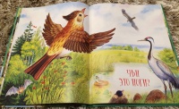 Изображение отзыва