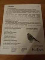 Изображение отзыва