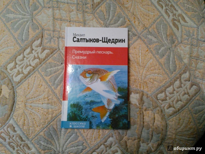 План сказки премудрый пескарь