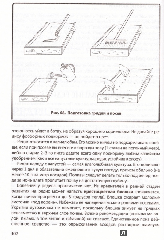 Носов огородники план