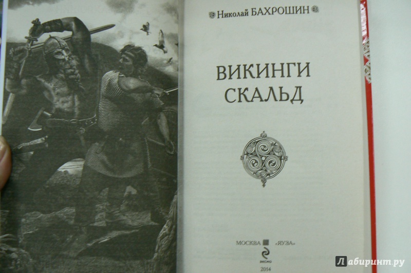 Викинг книга 1 бахмут