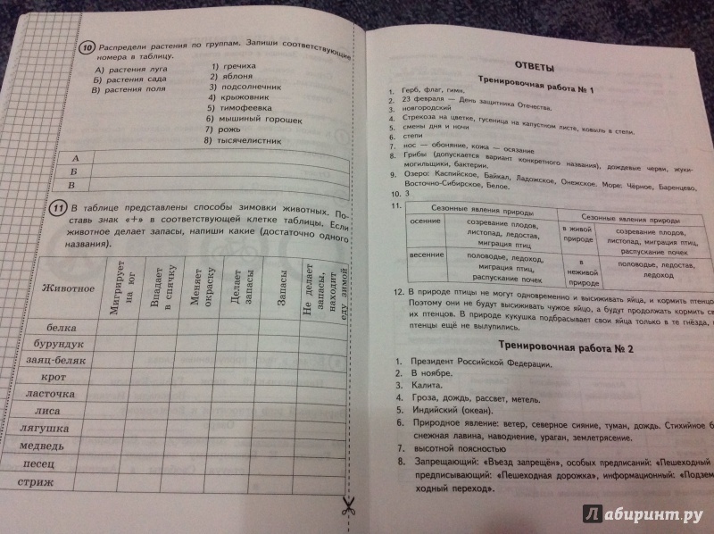 Итоговый Тест По Математике За Курс Начальной Школы С Ответами