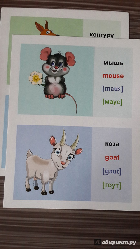 С английского на русский язык mice. Мышь на английском. Мышь транскрипция на английском. Коза на английском. Обучающие карточки животный мир на английском языке.