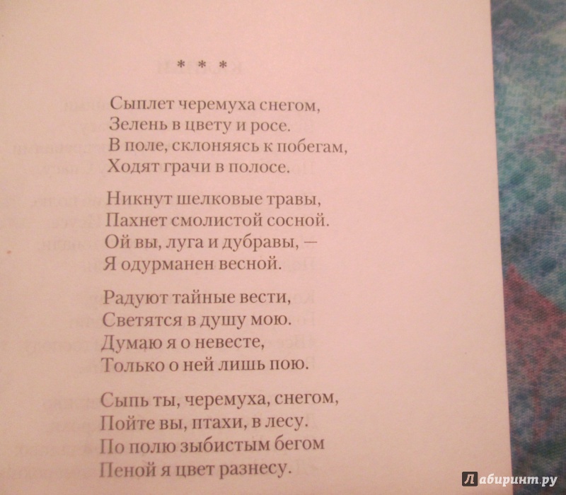 Есенин стихотворения не жалею не зову не плачу есенин по плану