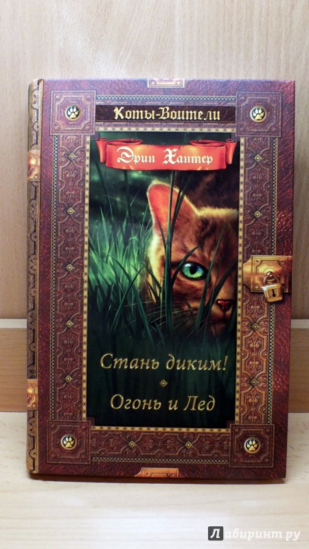 КОТЫ ВОИТЕЛИ СТАНЬ ДИКИМ СКАЧАТЬ БЕСПЛАТНО КОТЫ ВОИТЕЛИ СТАНЬ ДИКИМ СКАЧАТЬ БЕСПЛАТНО