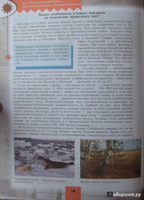 Гдз По Учебнику По Географии 8 Класс Алексеева Полярная Звезда Гдз по учебнику по географии 8 класс алексеева полярная звезда
