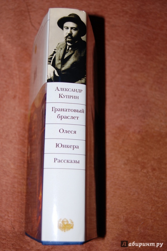 Как рисует куприн главную героиню рассказа веру шеину