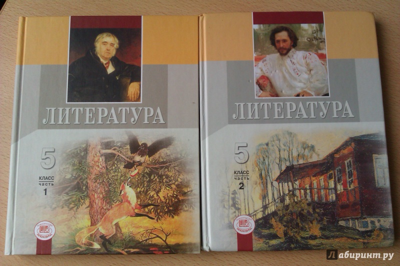 Литература 5 класс учебник 1. Литература 5 класс Снежневская Хренова. Литература 5 класс ФГОС учебник. Беленький литература 5 класс. Учебник по литературе 5 класс Снежневская.